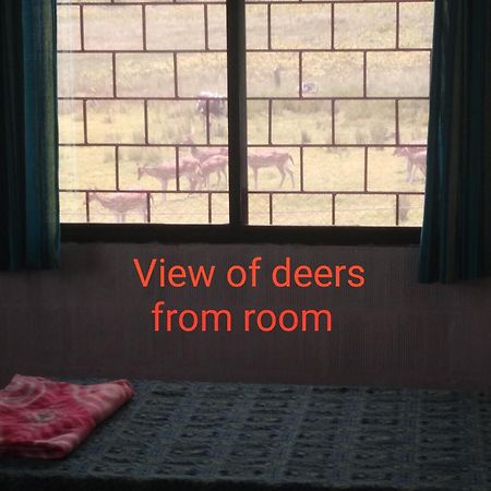 Jungle Homestay Near Bandipur Mudumalai Masinagudi Exterior photo
