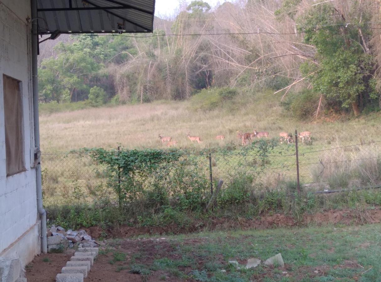 Jungle Homestay Near Bandipur Mudumalai Masinagudi Exterior photo