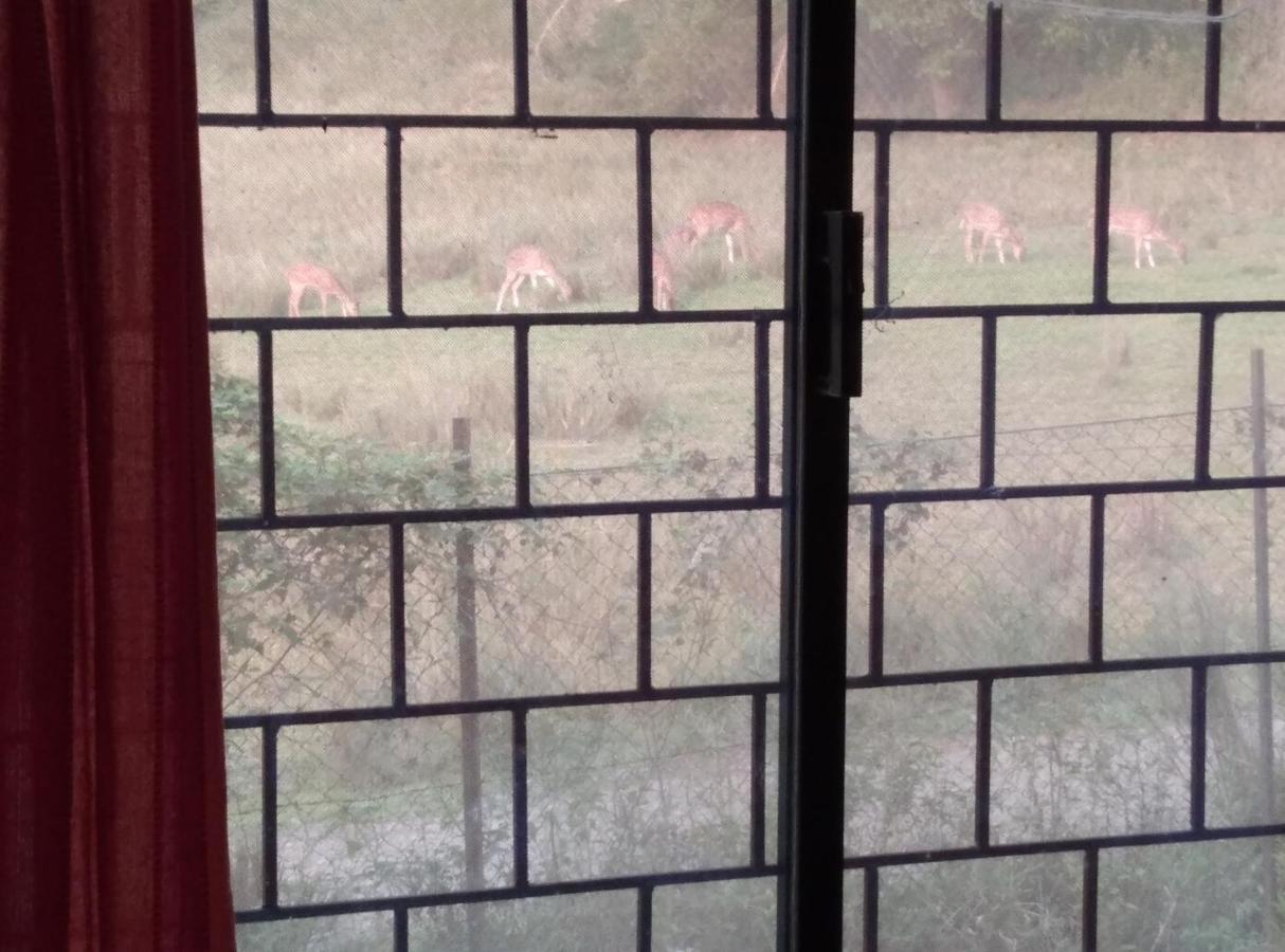 Jungle Homestay Near Bandipur Mudumalai Masinagudi Exterior photo